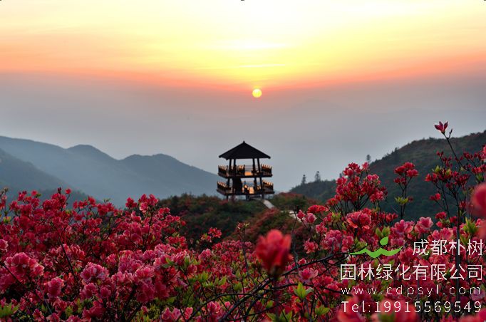 “2019中国森林旅游节”将于10月18日至20日在南通举办