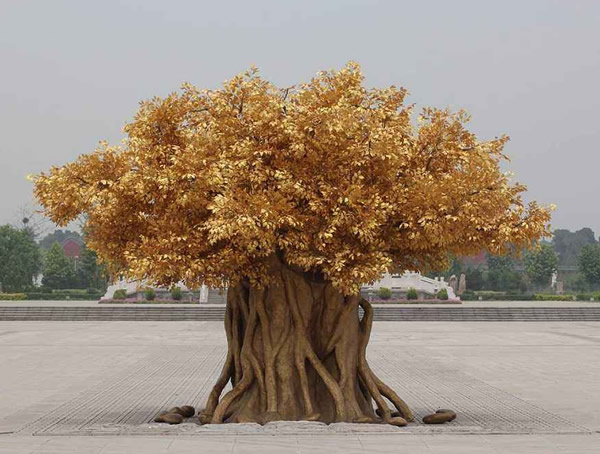 黄金树与梓树的区别有哪些？