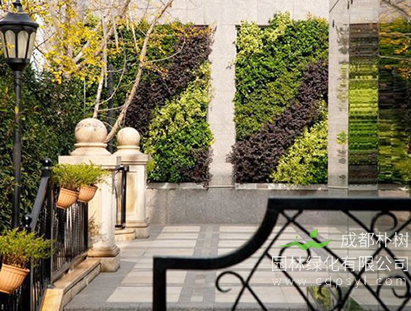 为何越来越多的人喜爱庭院垂直绿化景观？ 